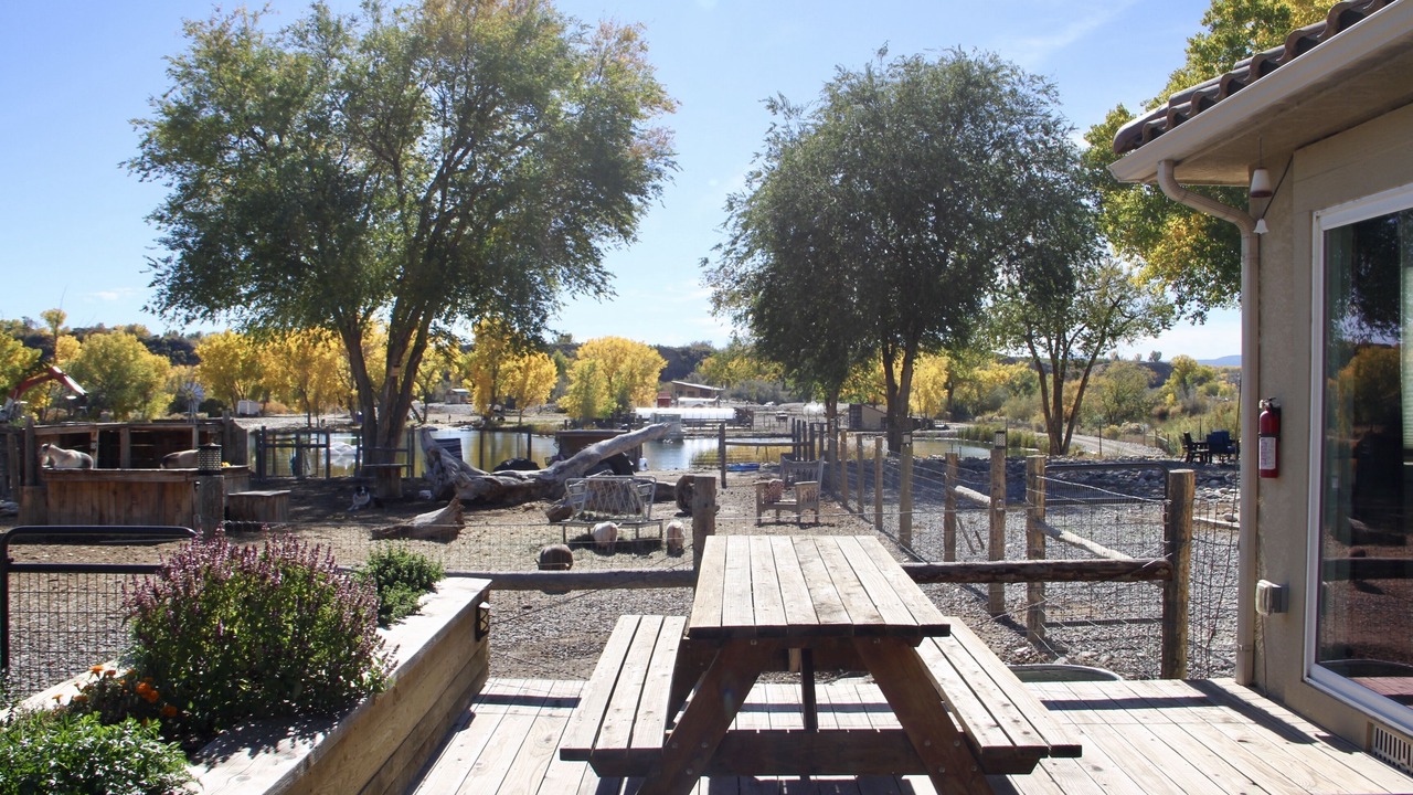 Photo of Patio Balcony in Clifton