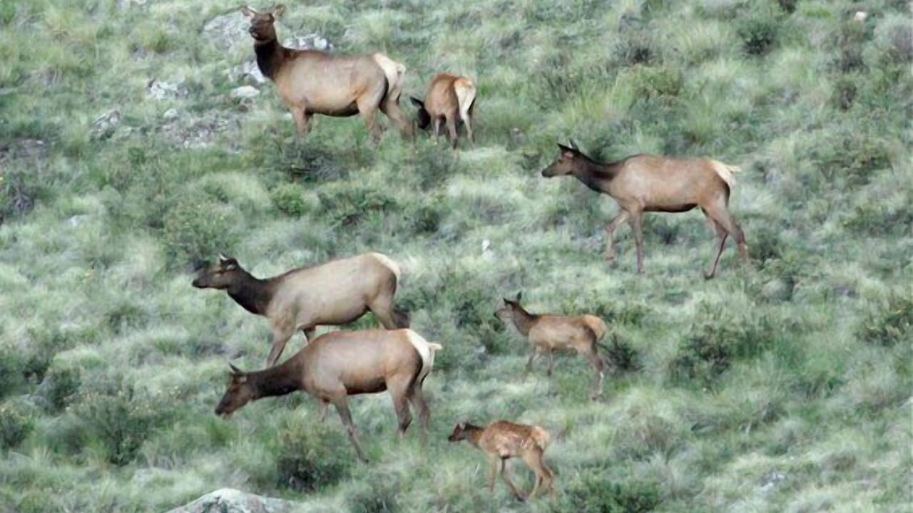 Photo of Others in Lake City
