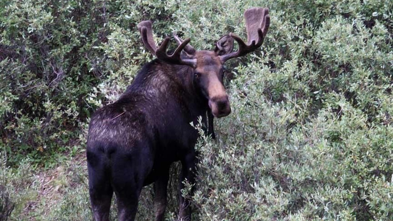 Photo of Outdoor in Lake City