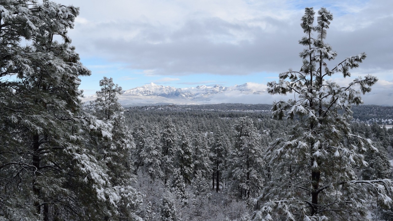 Photo of Others in Pagosa Springs
