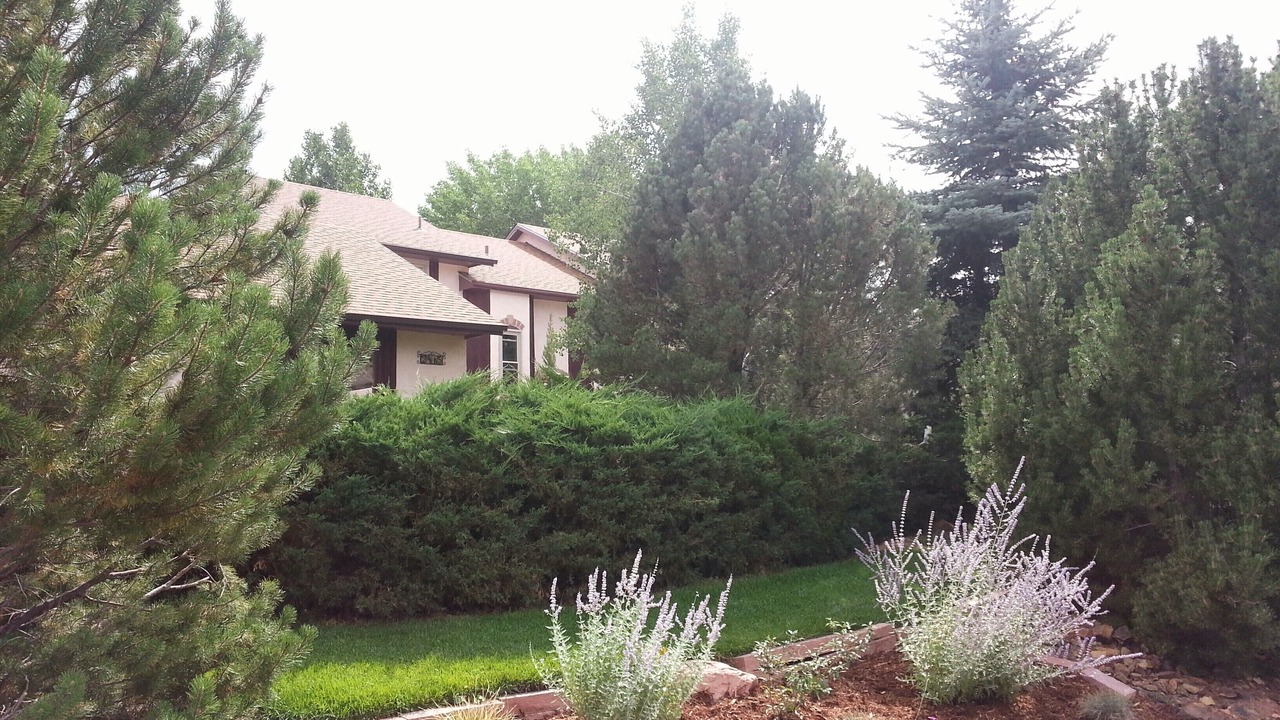 Photo of Outdoor in Mountain Shadows