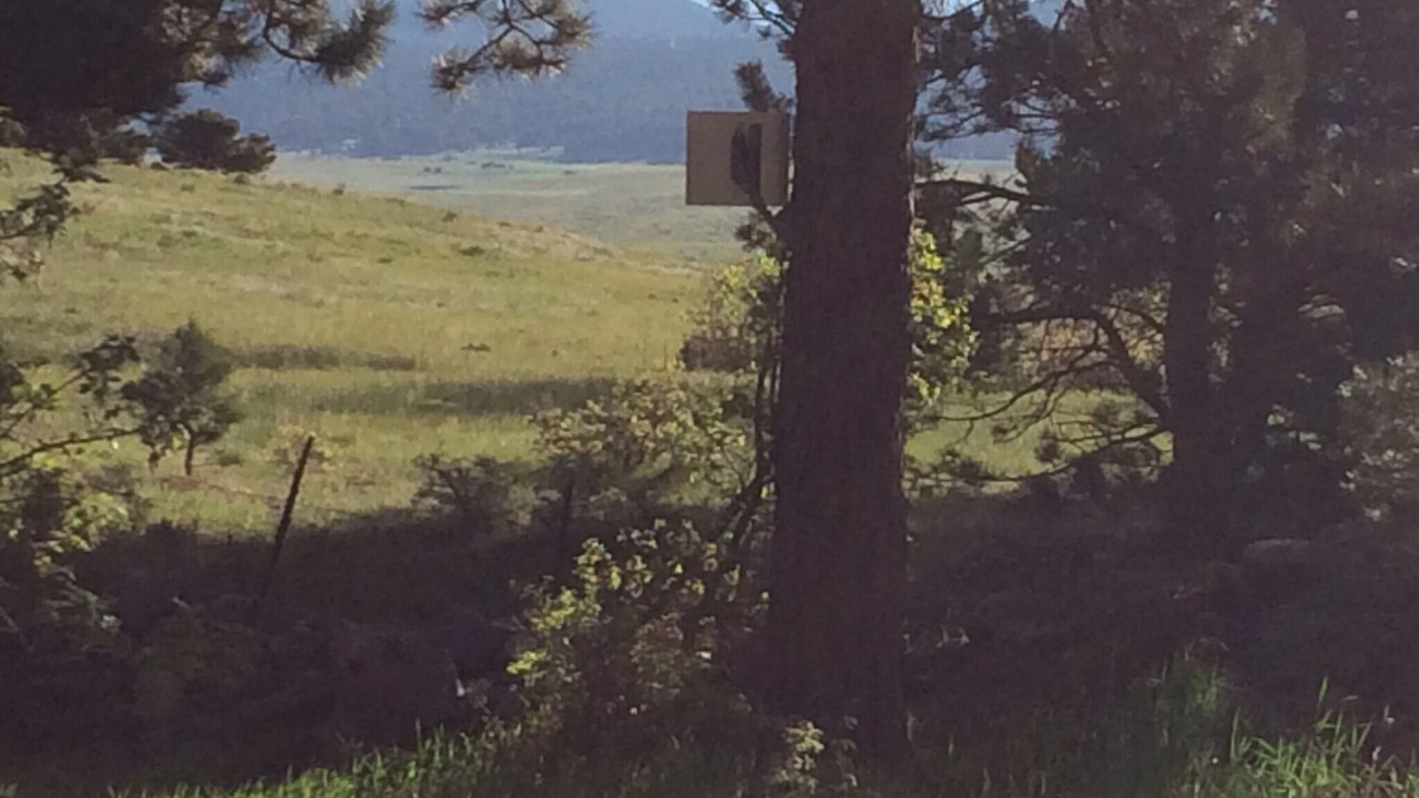 Photo of Others in Westcliffe