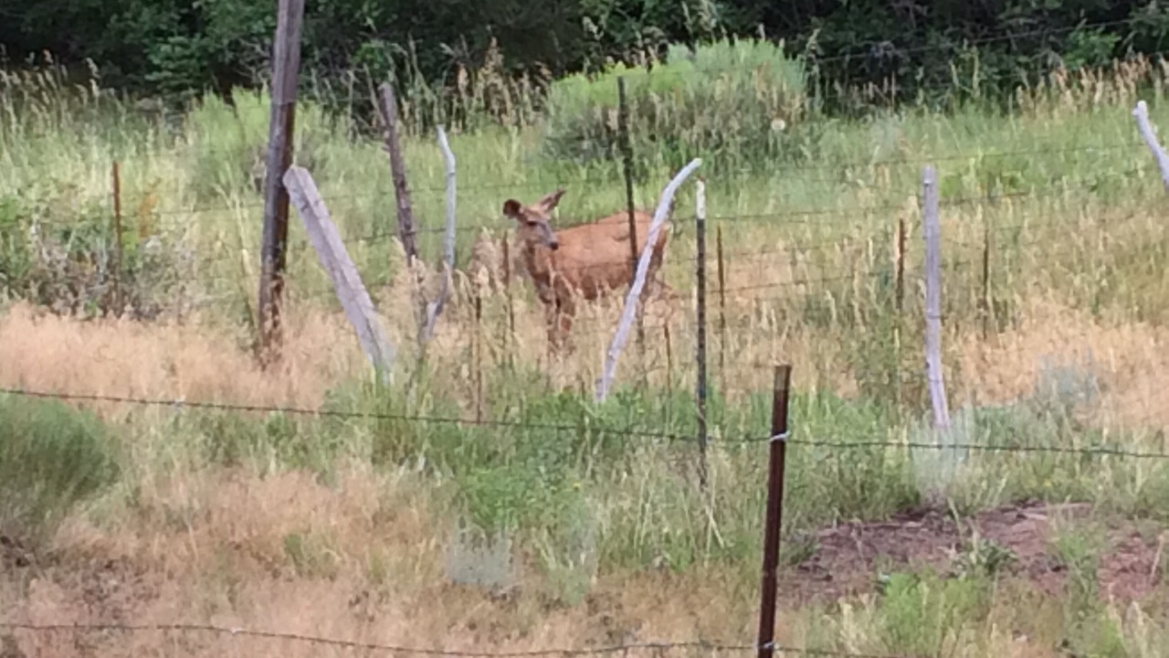 Photo of Outdoor in Westcliffe