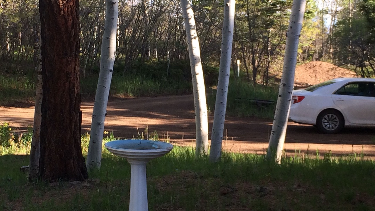 Photo of Outdoor in Westcliffe