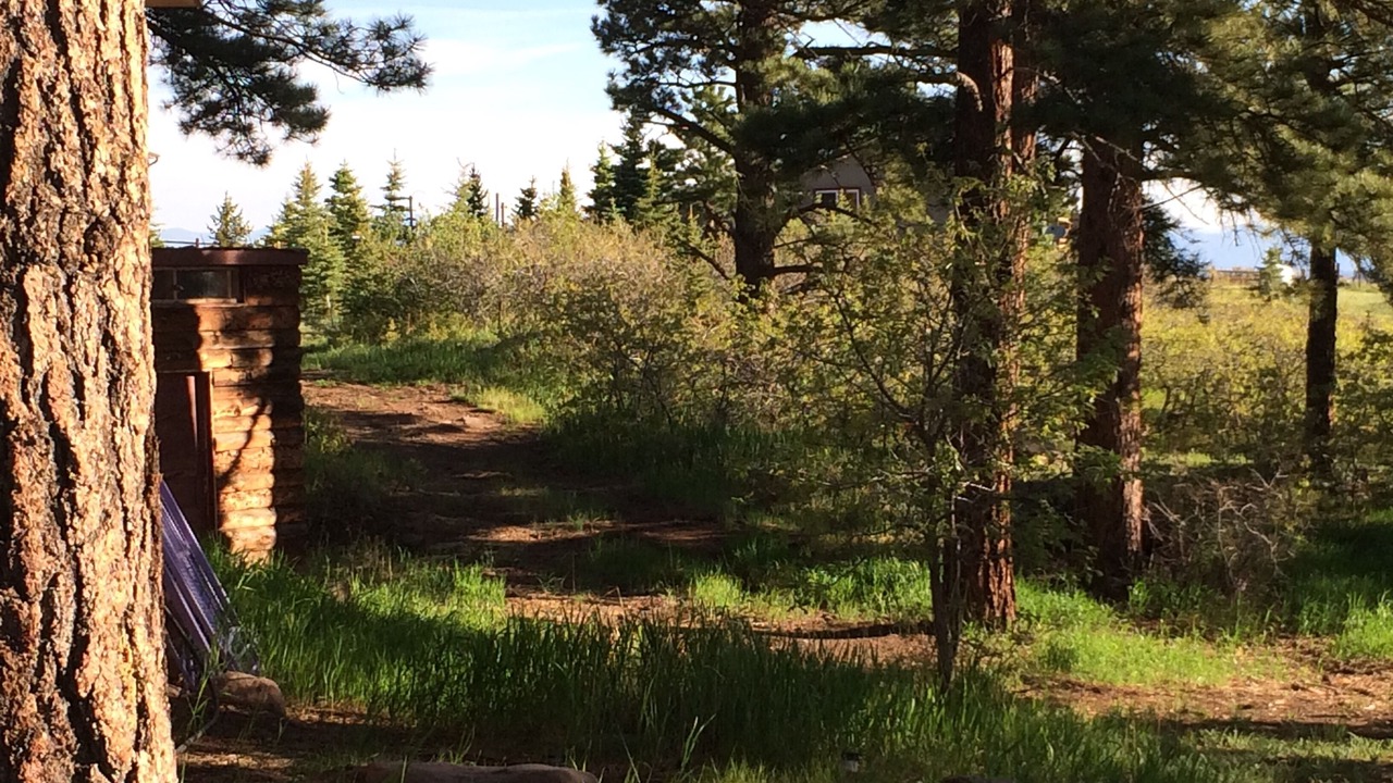 Photo of Outdoor in Westcliffe