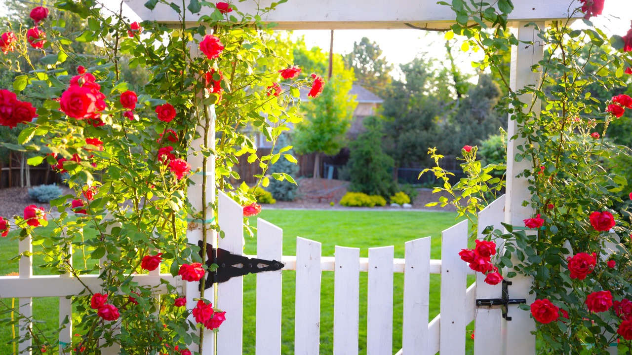 Photo of Outdoor in Columbine