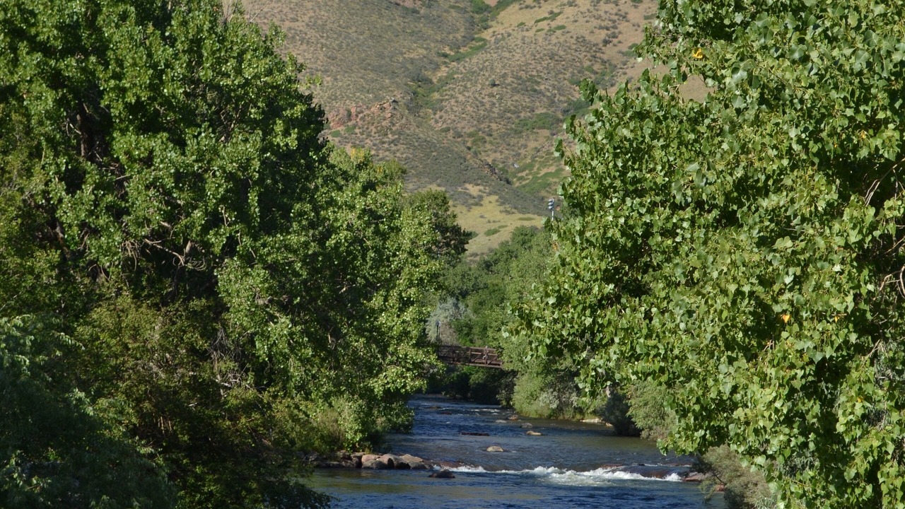 Photo of Others in Golden