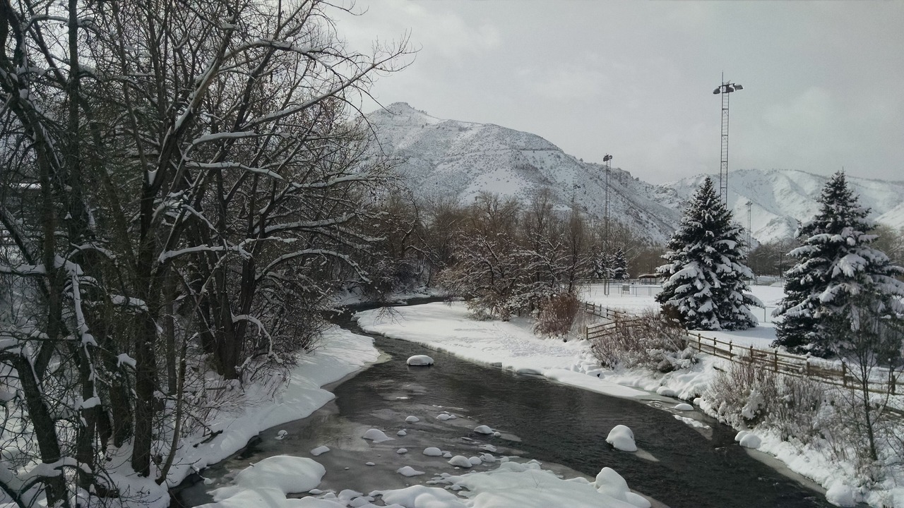Photo of Others in Golden