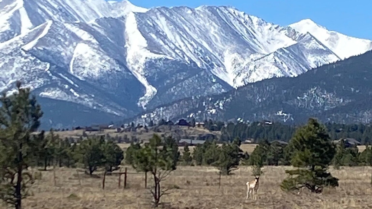 Photo of Others in Buena Vista
