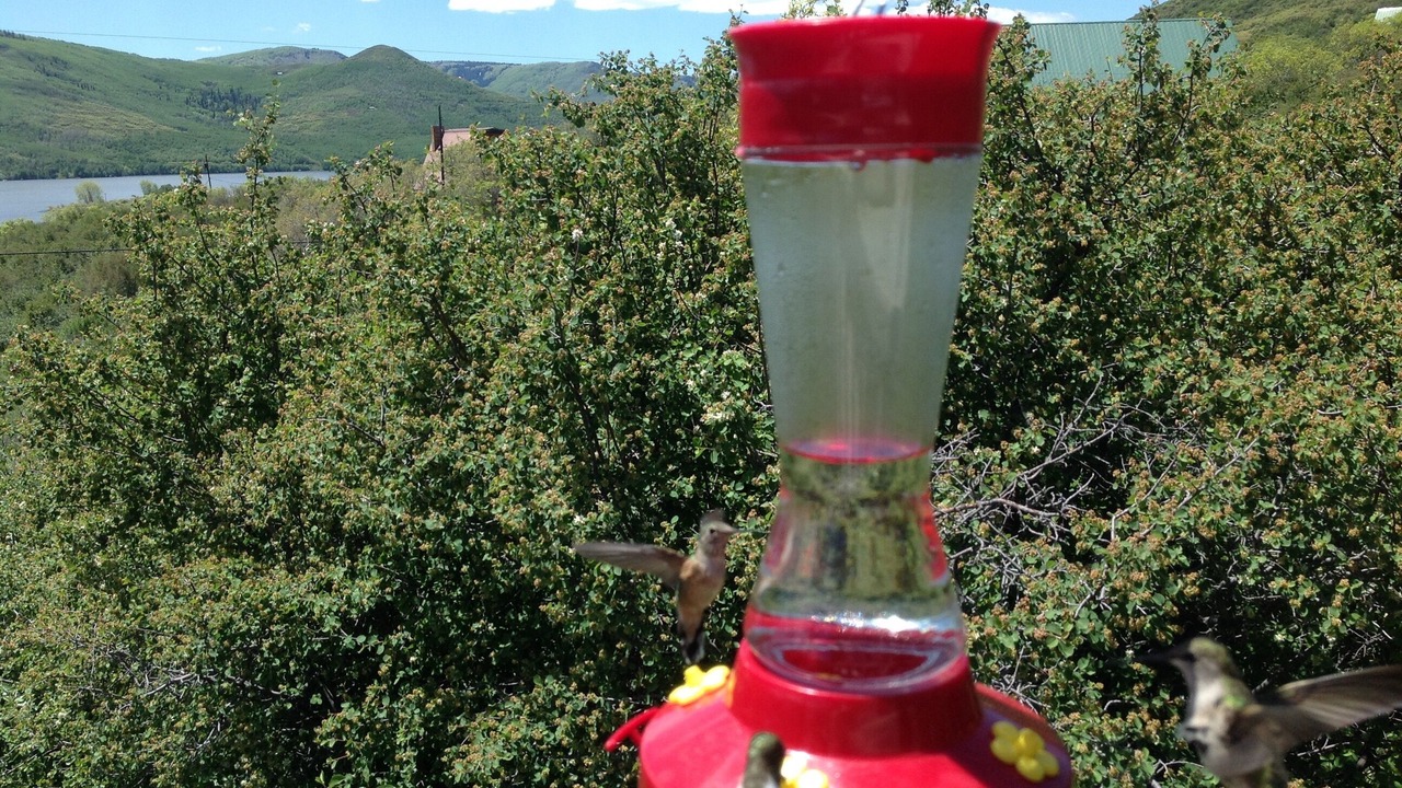 Photo of Outdoor in Collbran