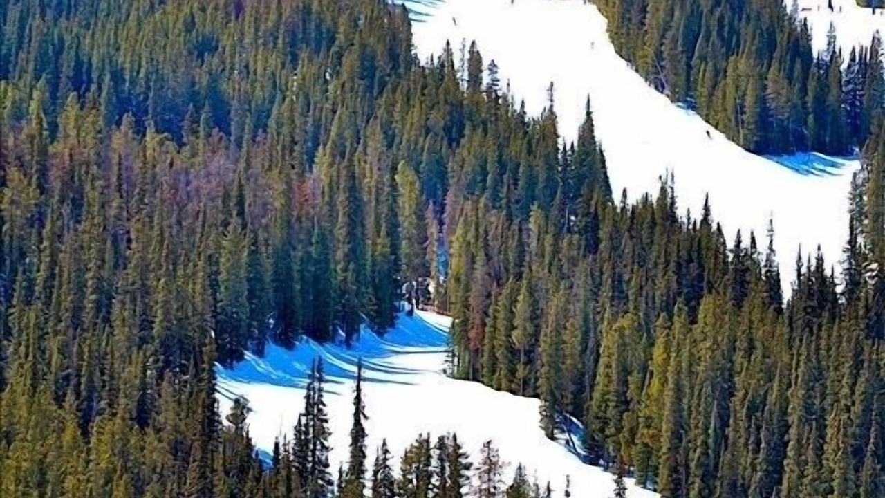 Photo of Others in Copper Mountain