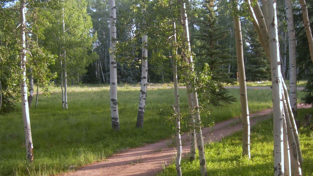 Photo of Others in Cimarron