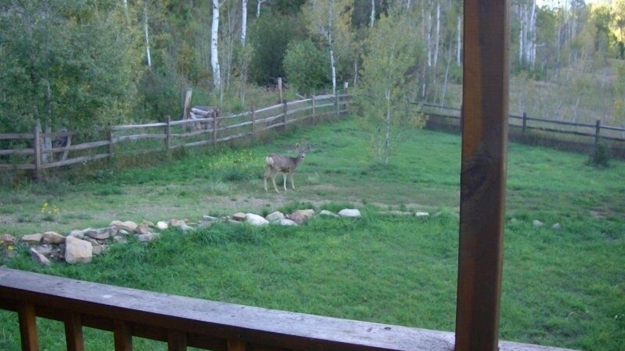 Photo of Others in Durango