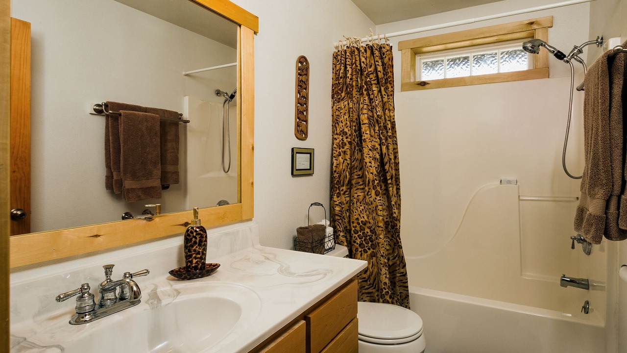 Photo of Bathroom in Durango