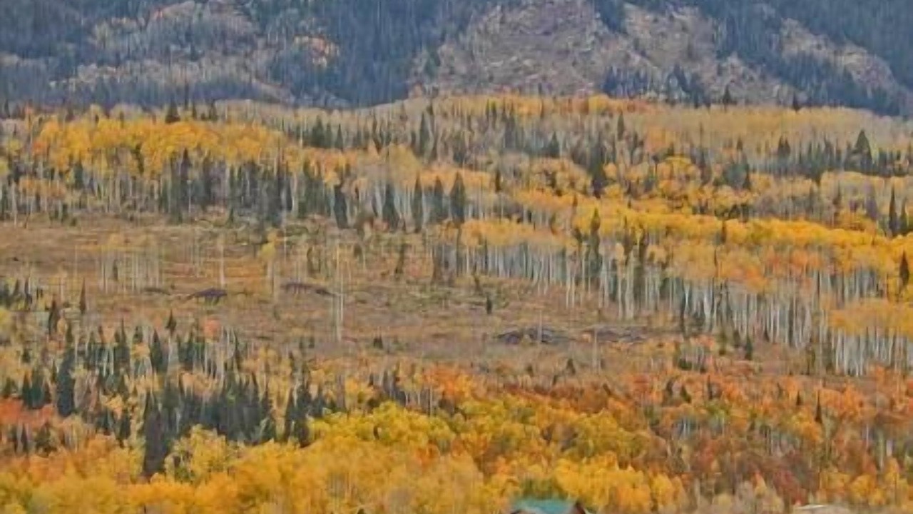 Photo of Others in Walden