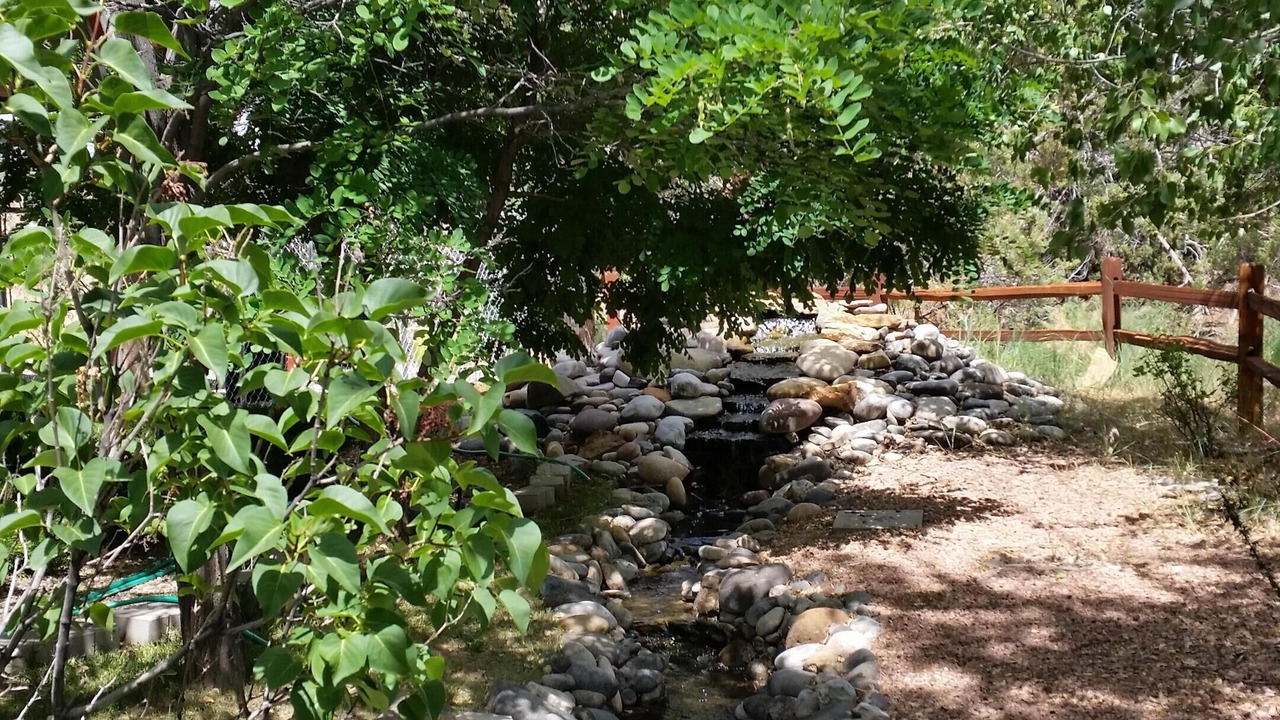 Photo of Outdoor in Cortez