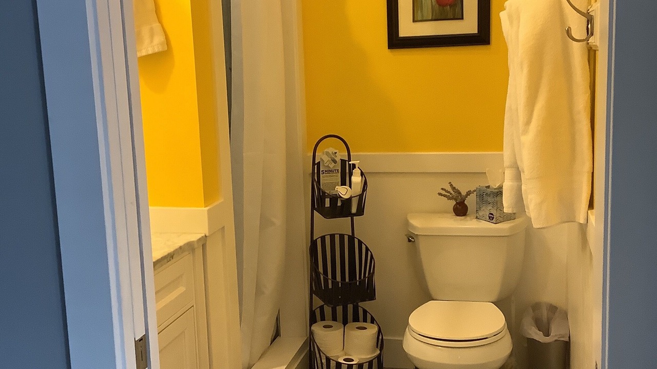 Photo of Bathroom in Carbondale