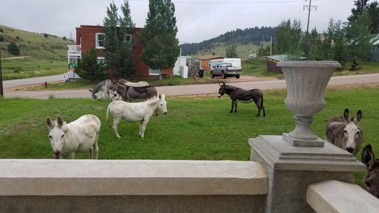Photo of Others in Cripple Creek