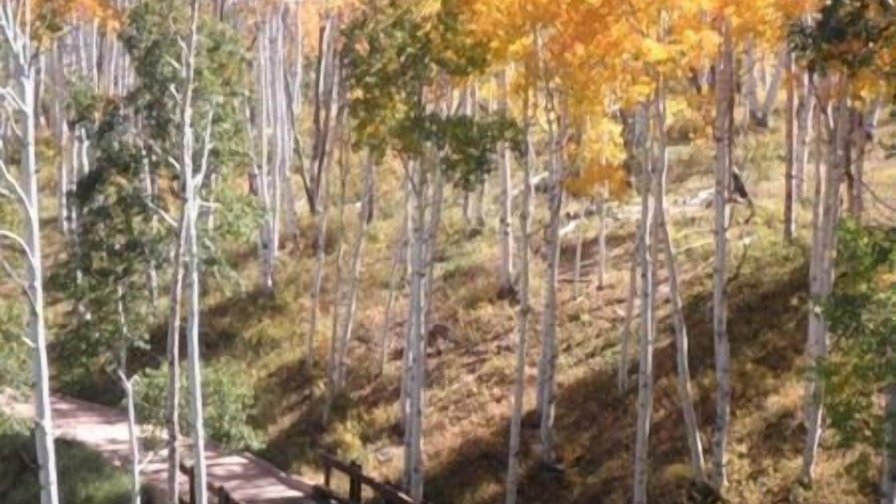 Photo of Others in Ridgway