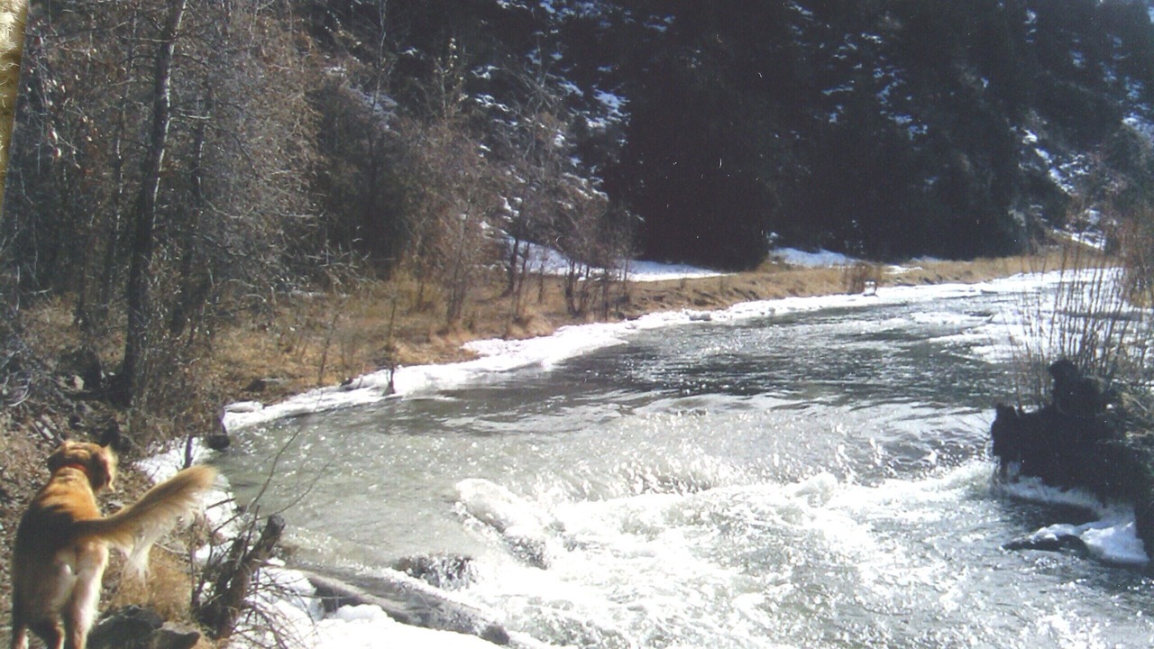 Photo of Others in Canon City