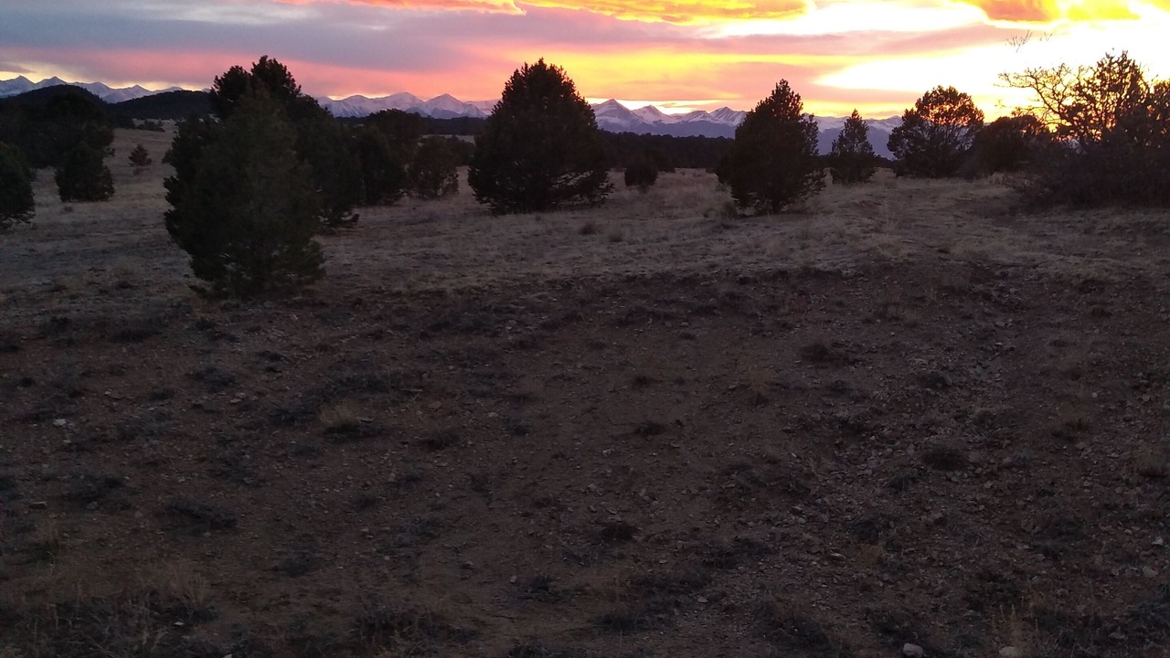 Photo of Others in Canon City