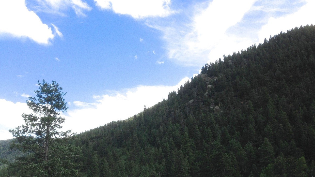 Photo of Outdoor in Cascade