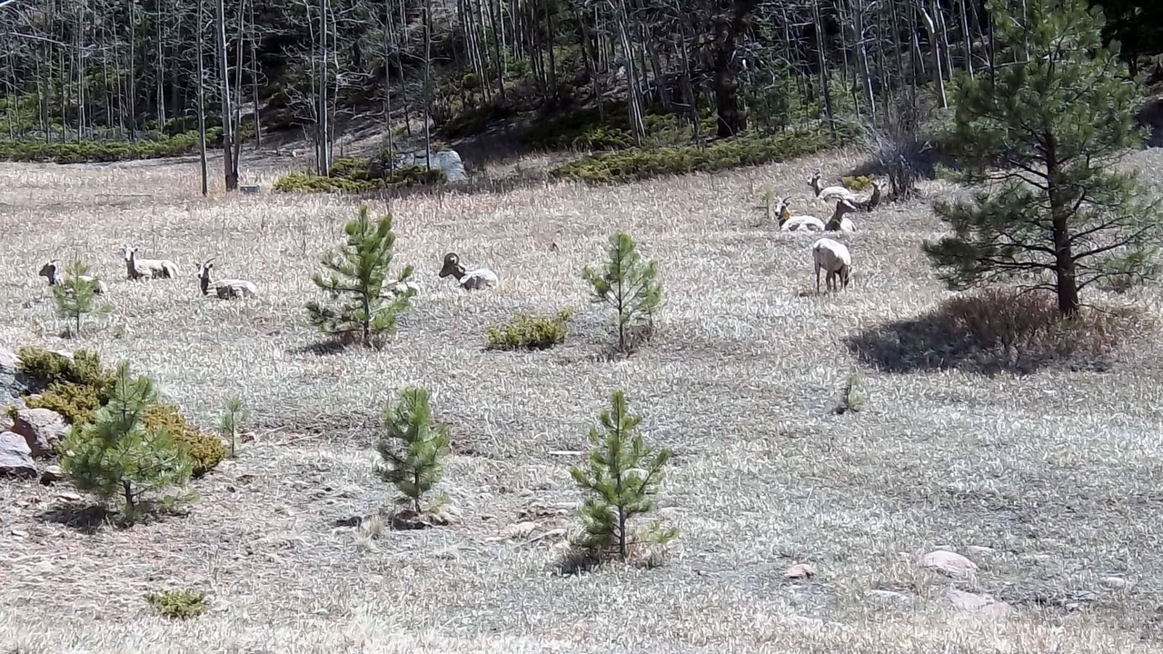 Photo of Others in Cascade