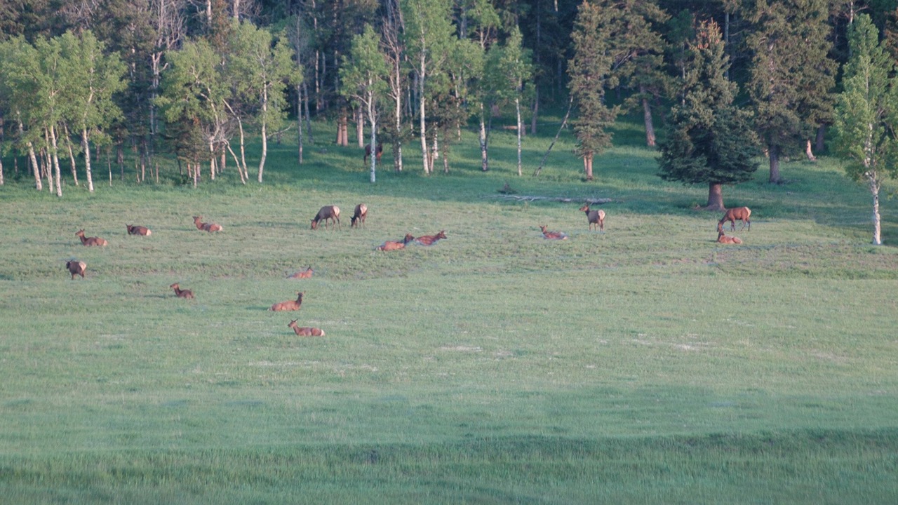 Photo of Others in Cascade