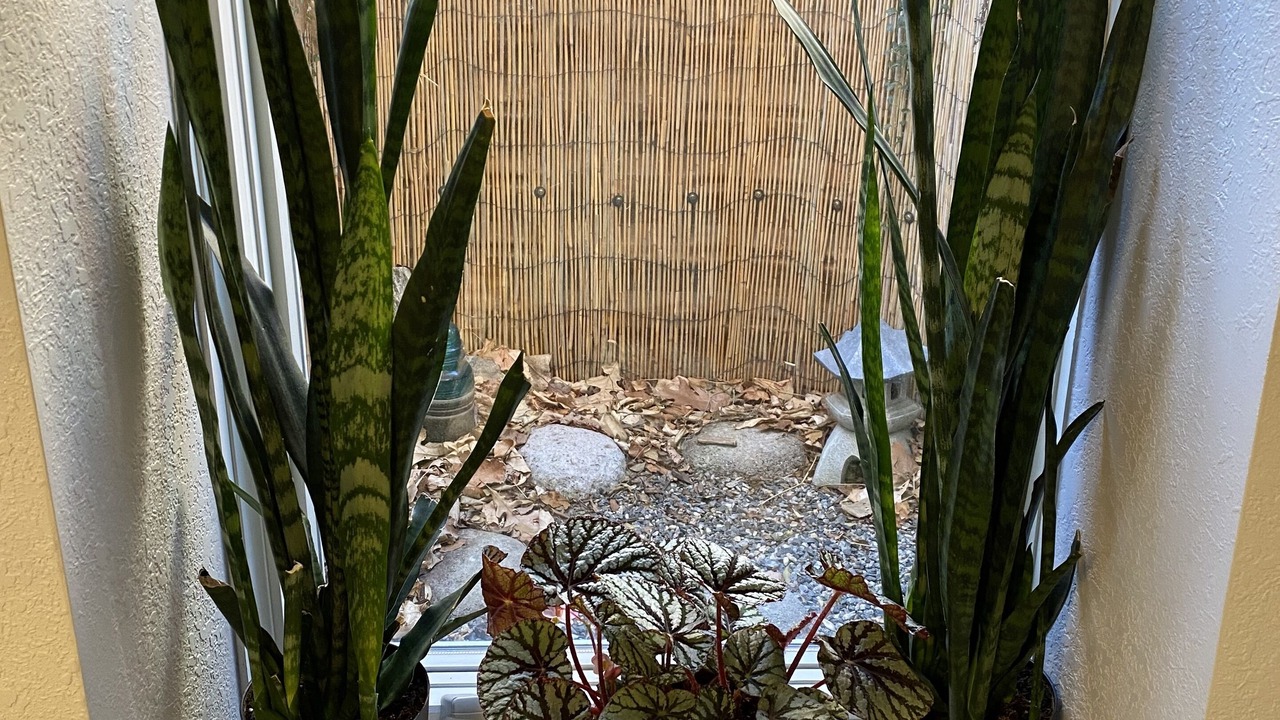 Photo of Others in North Park Hill