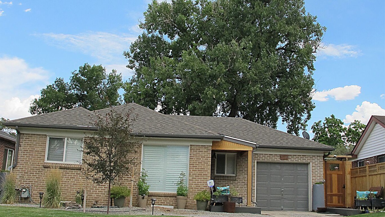 Photo of Others in North Park Hill