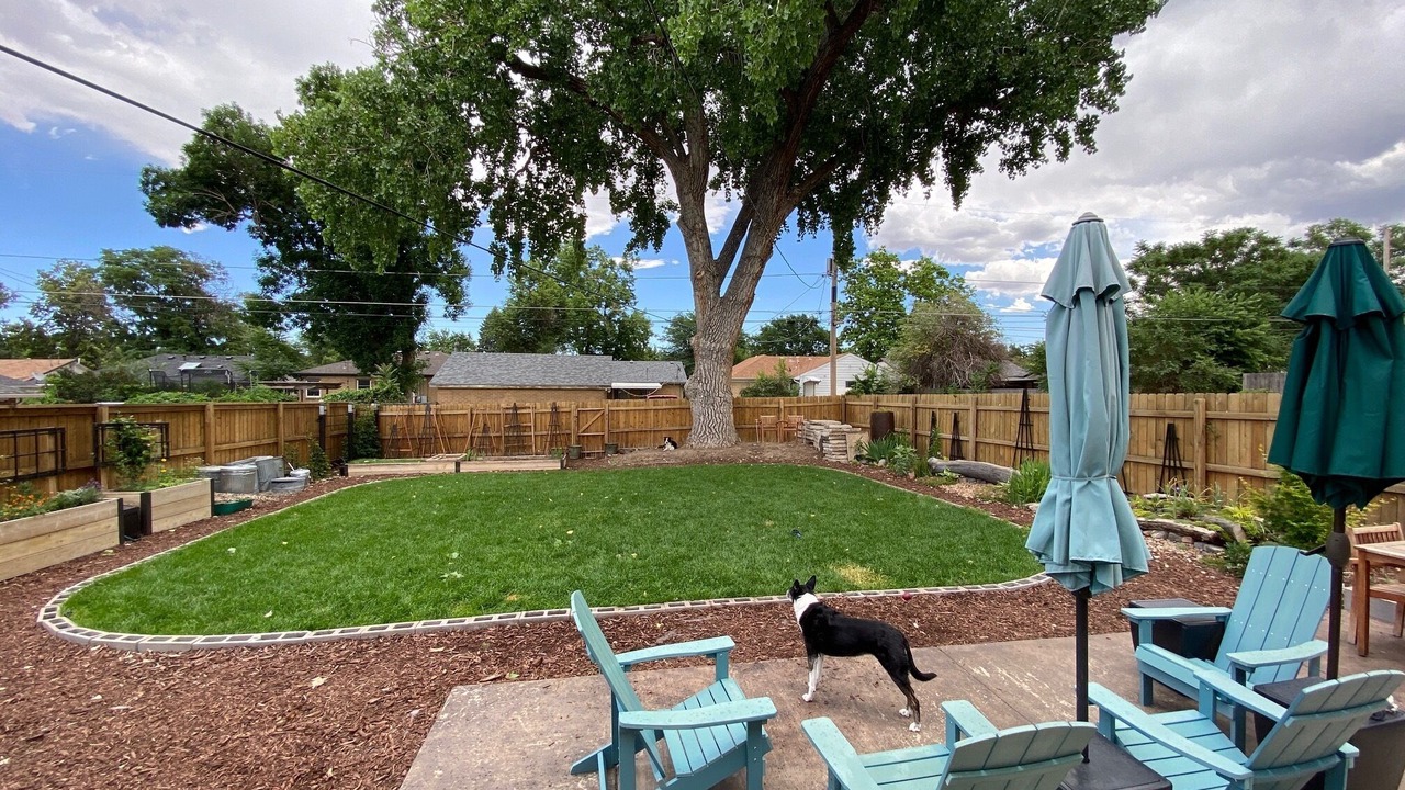 Photo of Others in North Park Hill