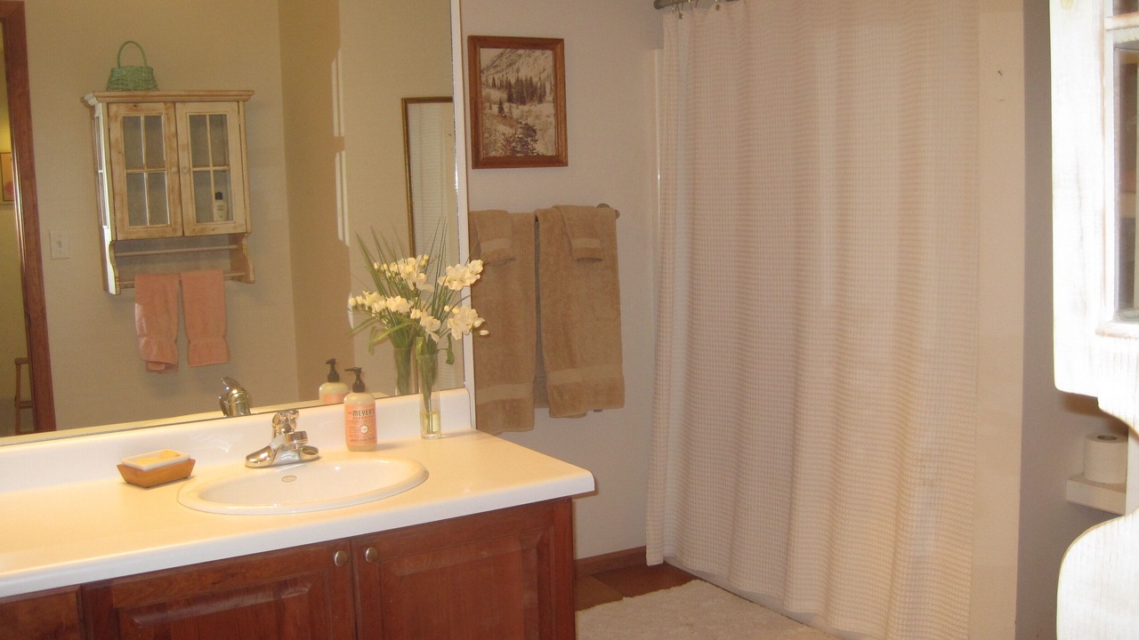 Photo of Bathroom in Carbondale