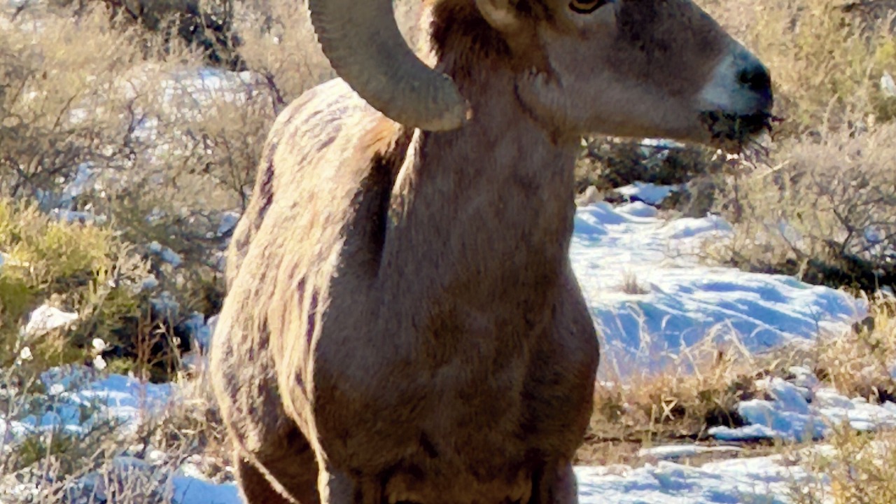 Photo of Others in Redlands