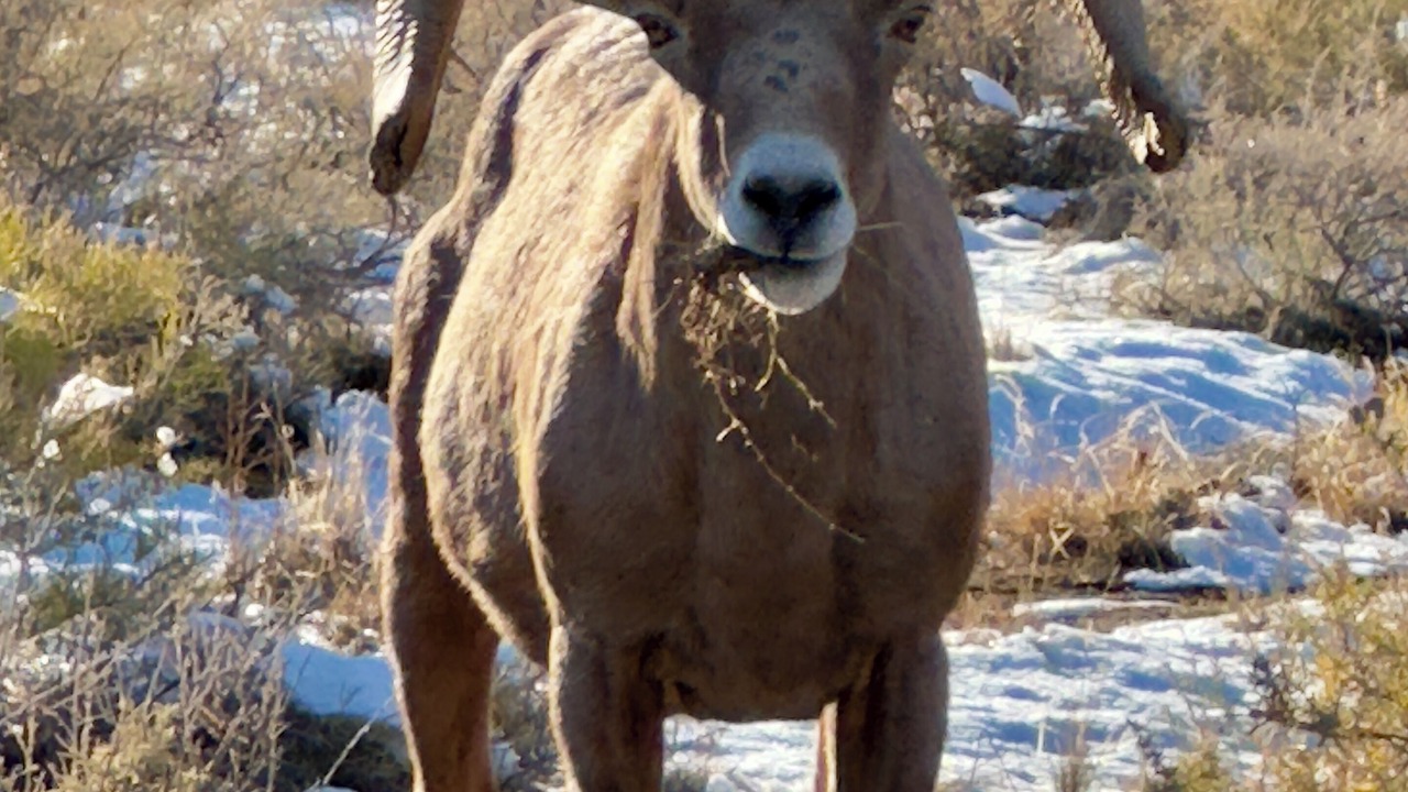 Photo of Others in Redlands