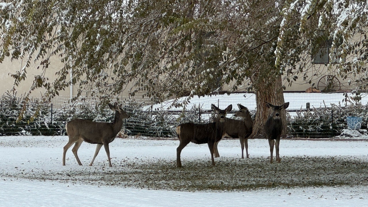 Photo of Others in Redlands