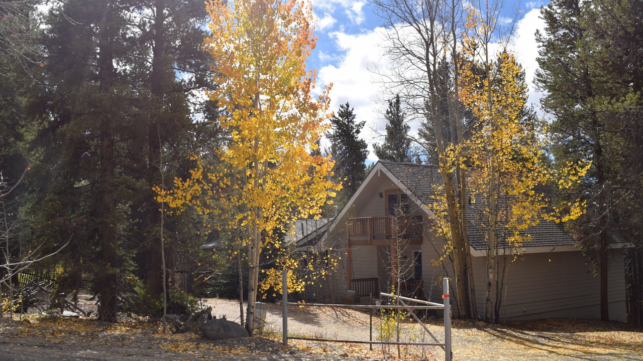 Photo of Others in Leadville North