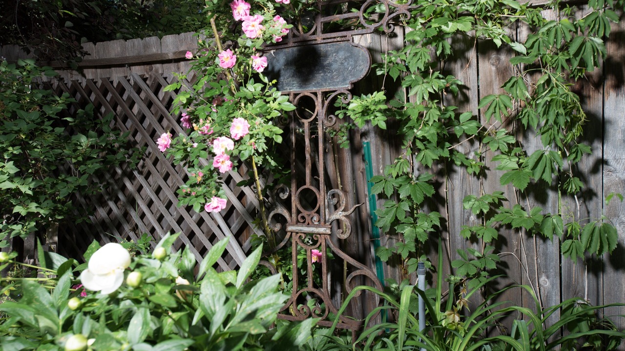 Photo of Outdoor in Old North End