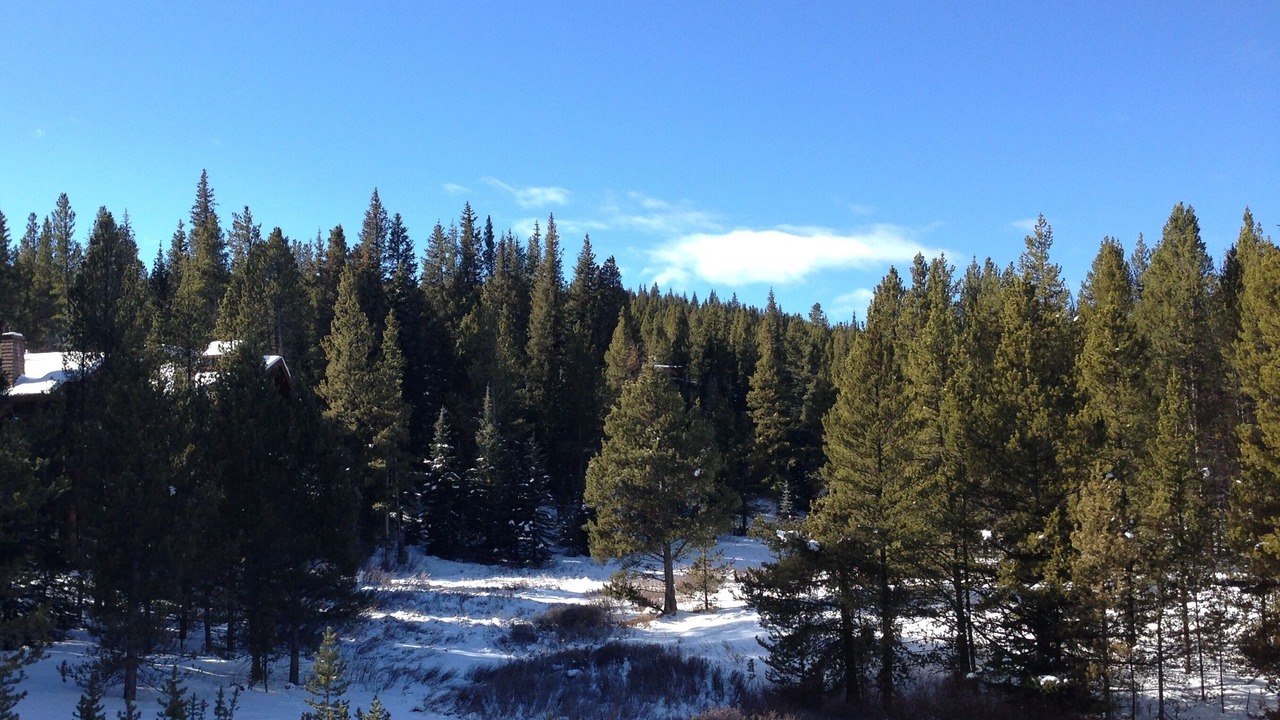 Photo of Others in Copper Mountain