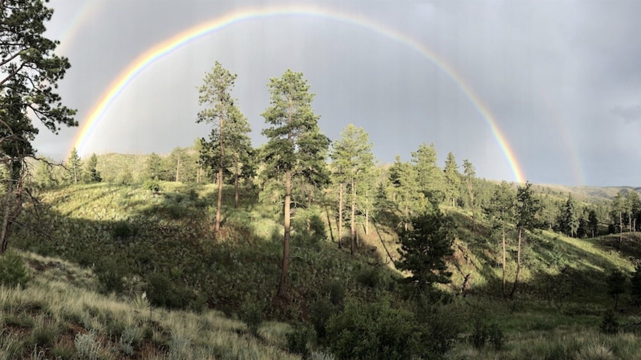 Photo of Others in Woodland Park