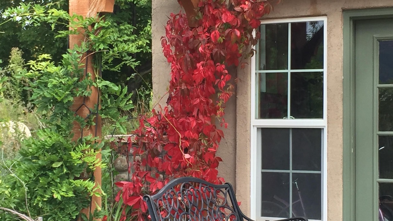 Photo of Patio Balcony in Hermosa