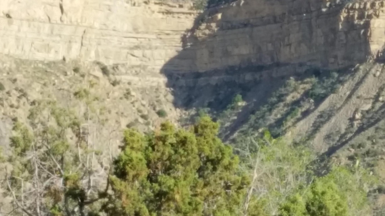 Photo of Others in Cortez