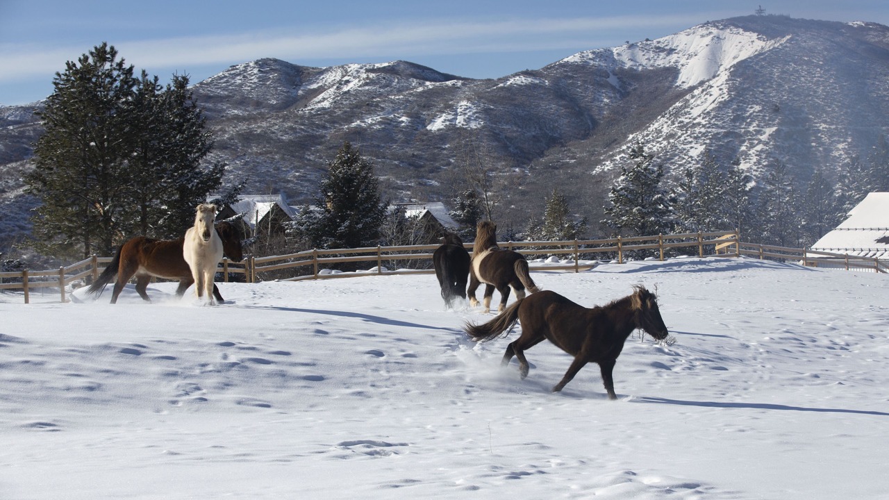 Photo of Others in Aspen
