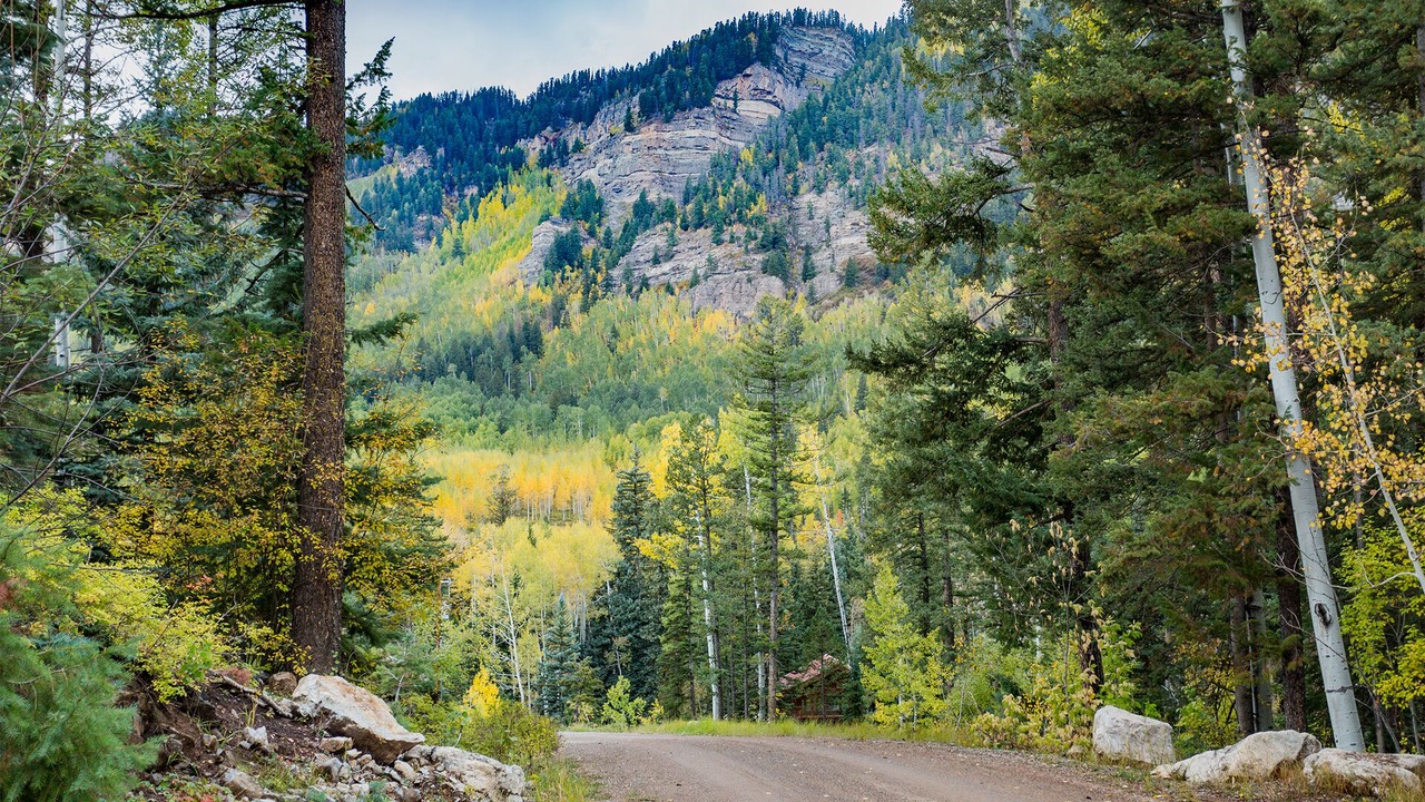 Photo of Others in Columbine Lake