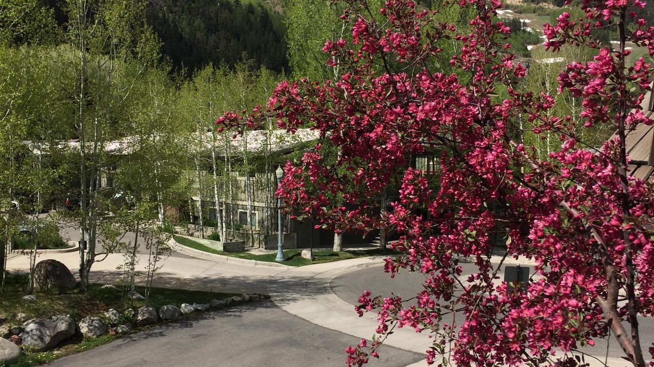 Photo of Others in Aspen