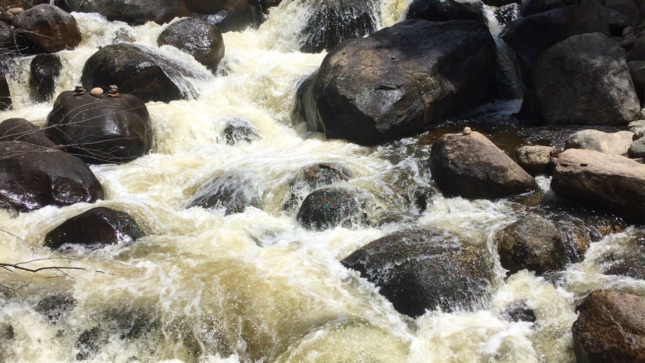 Photo of Others in Aspen