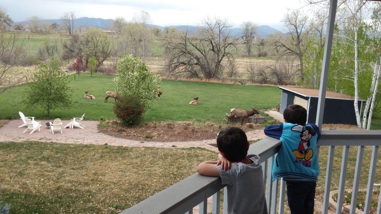 Photo of Others in Loveland