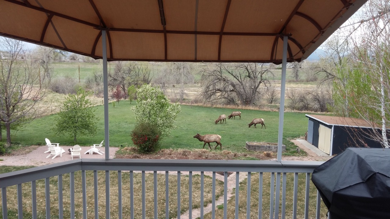 Photo of Others in Loveland