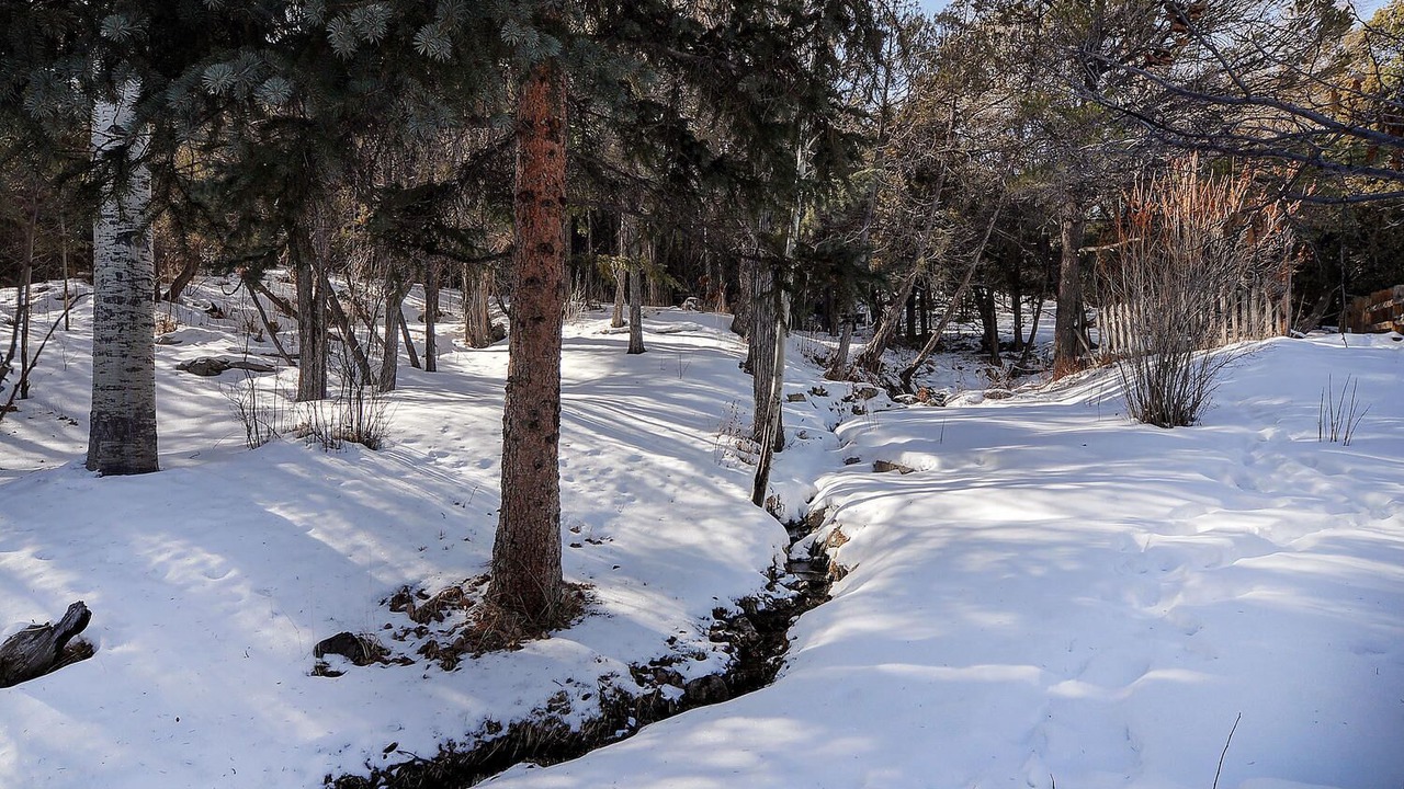 Photo of Others in Salida