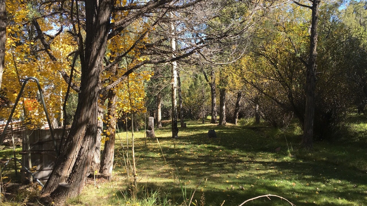 Photo of Others in Salida