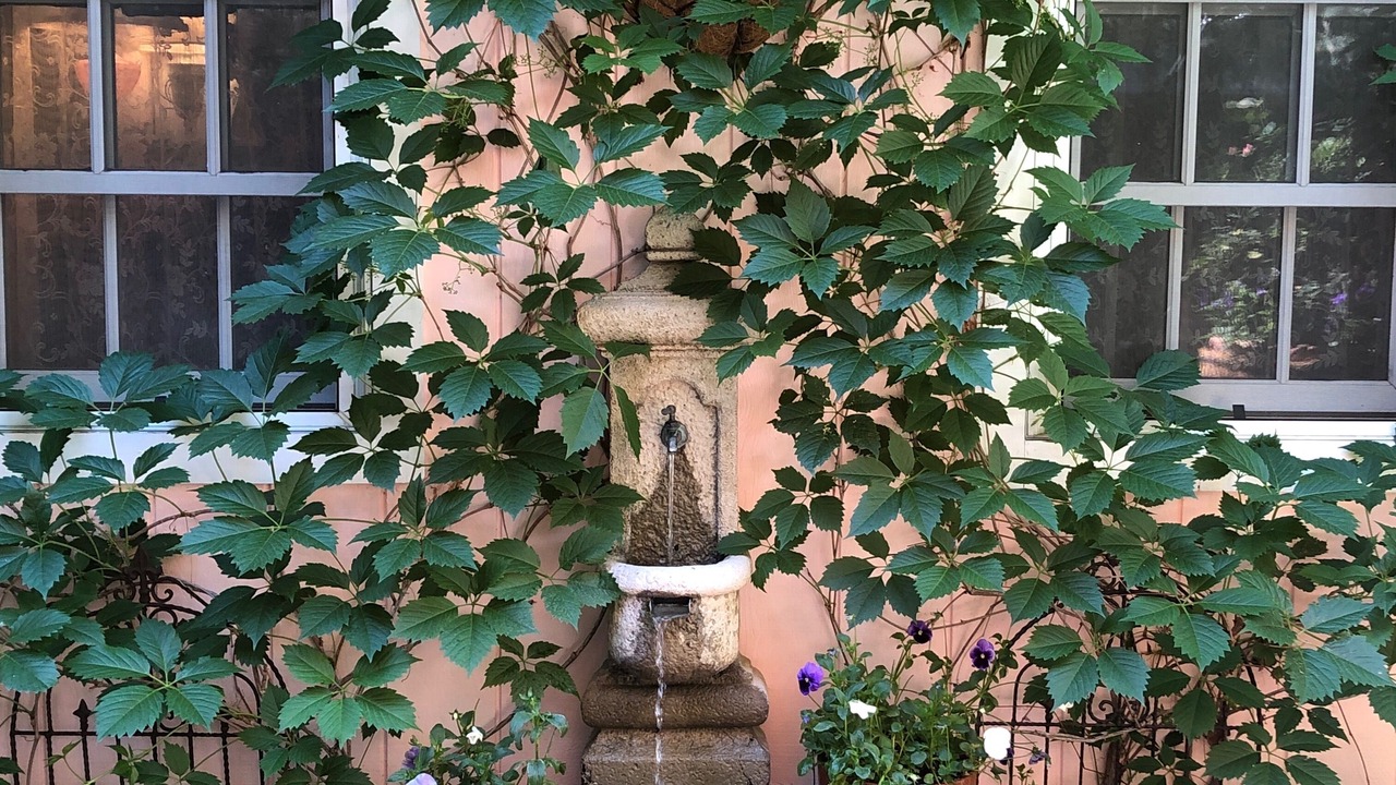 Photo of Outdoor in West End